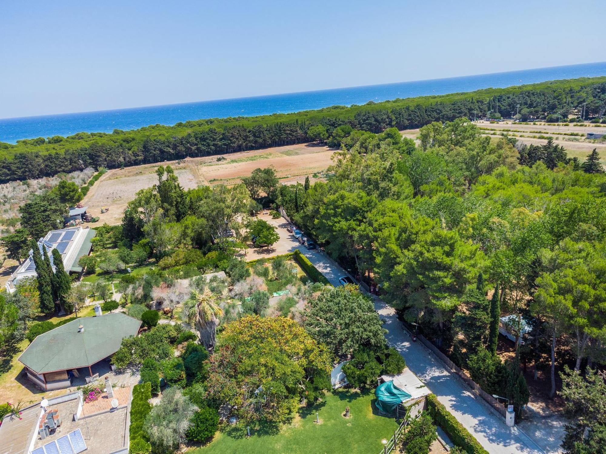 Bio Agriturismo Salos Alimini Exterior photo